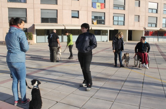 Formación reconocida de adiestramiento canino