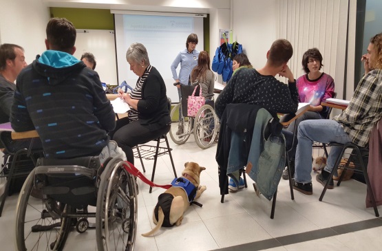 Curso de un perro de asistencia en discapacidad
