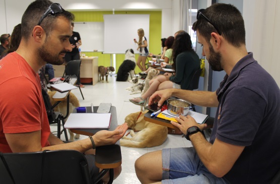 Curso Profesional de Adiestramiento de Perros