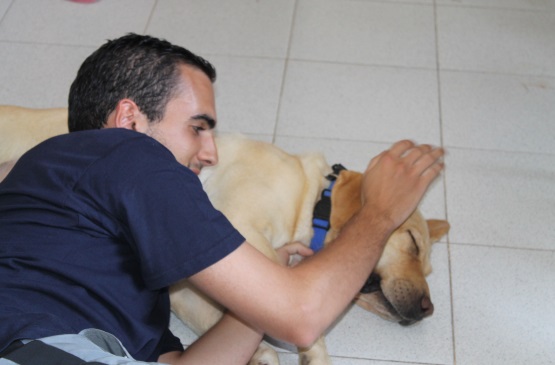 Curso de terapia asisitida