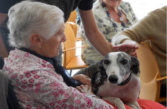 Terapias con perros para la tercera edad