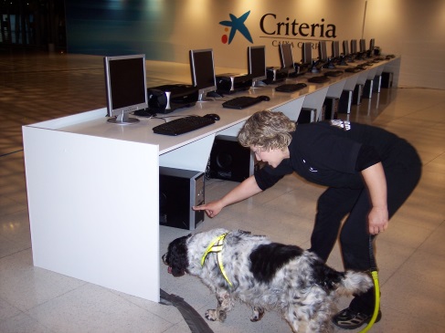 Registro de un perro de explosivo