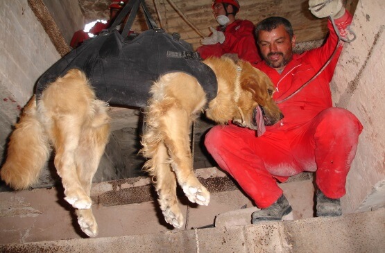 Formación de Rescate y de Emergencia con perro