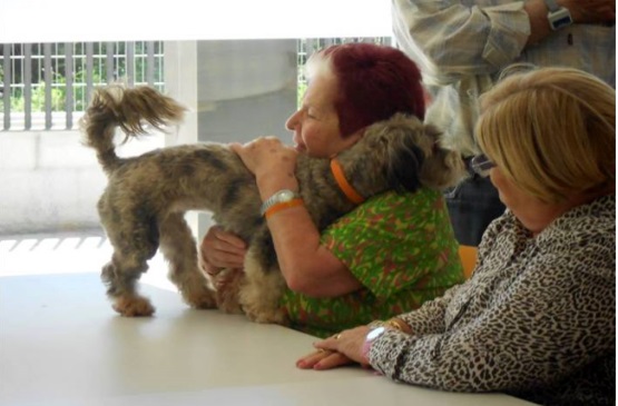 Terapia alternativa con perros y para mayores