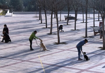 1- Curso de Adiestramiento de Base y Educación Canina.