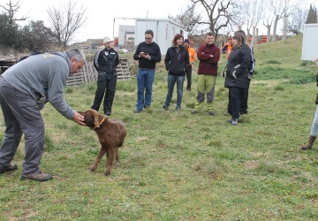 2- Postgrado en Instrucción de Unidades Caninas de Trabajo.