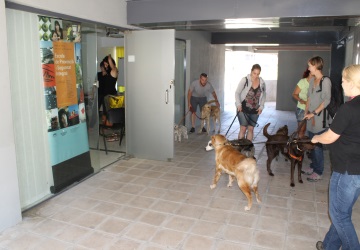 Entrada secundaria de IDDTGroup