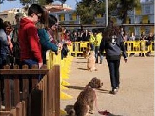 Primera edición de la Fiesta de los Animales en 2016