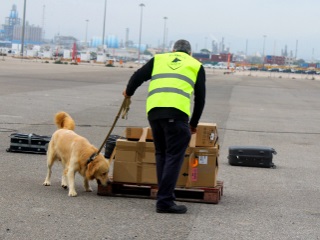 OCEP - Acreditación Perros Portuaria Tarragona